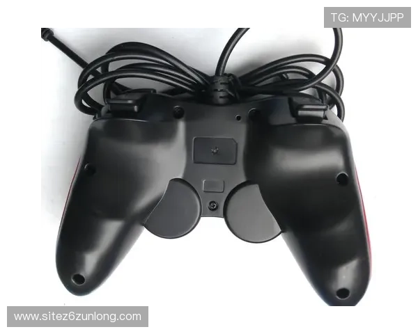 如何通过尊龙官方旗舰店快速找到心仪的游戏周边商品与客户服务 如何通过尊龙官方旗舰店快速找到心仪的游戏周边商品与客户服务