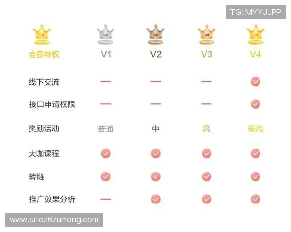 凯时会员权益详解:会员等级提升的具体流程与实用攻略 凯时会员权益详解:会员等级提升的具体流程与实用攻略